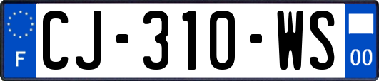 CJ-310-WS