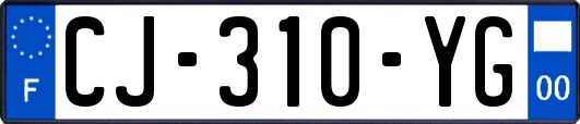 CJ-310-YG