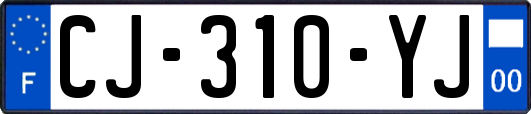 CJ-310-YJ