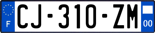 CJ-310-ZM