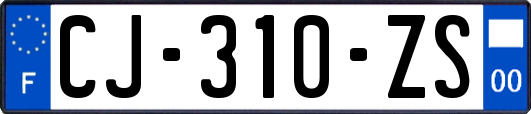 CJ-310-ZS