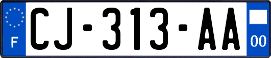 CJ-313-AA