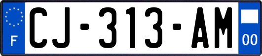 CJ-313-AM