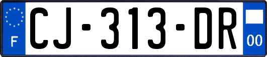 CJ-313-DR