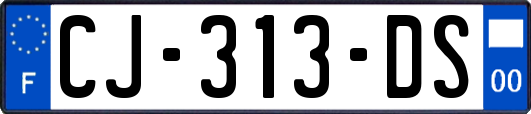 CJ-313-DS
