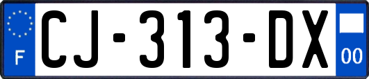 CJ-313-DX
