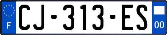 CJ-313-ES