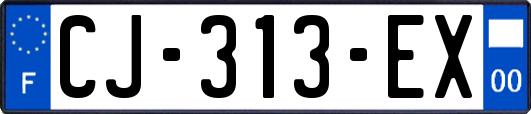 CJ-313-EX