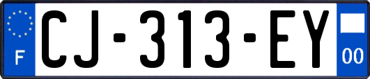 CJ-313-EY