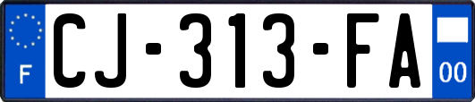 CJ-313-FA