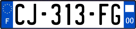 CJ-313-FG