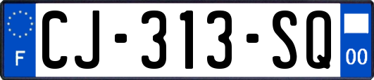 CJ-313-SQ