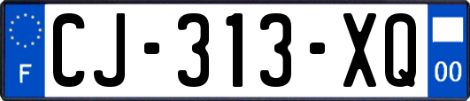 CJ-313-XQ