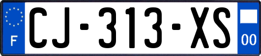 CJ-313-XS