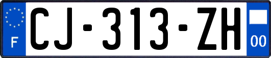 CJ-313-ZH