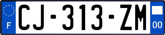 CJ-313-ZM