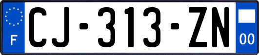 CJ-313-ZN