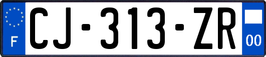 CJ-313-ZR