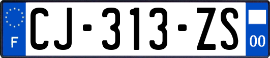 CJ-313-ZS