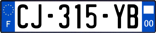 CJ-315-YB