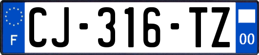 CJ-316-TZ