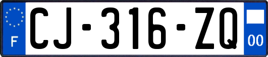 CJ-316-ZQ