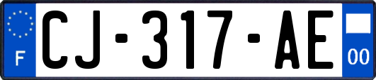 CJ-317-AE