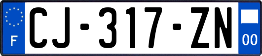 CJ-317-ZN