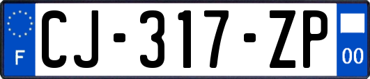 CJ-317-ZP