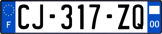 CJ-317-ZQ