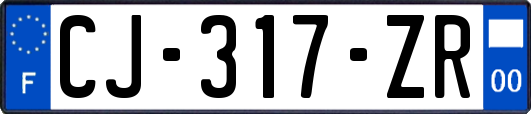 CJ-317-ZR