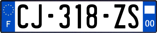 CJ-318-ZS