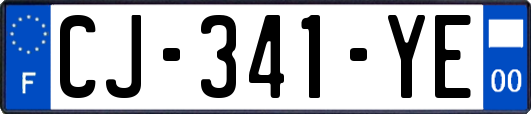 CJ-341-YE