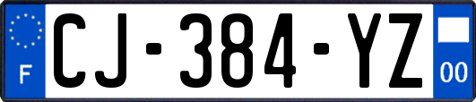 CJ-384-YZ