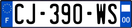 CJ-390-WS