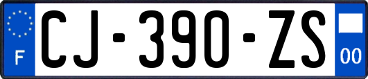 CJ-390-ZS