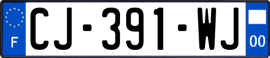 CJ-391-WJ