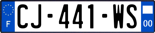 CJ-441-WS