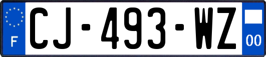 CJ-493-WZ