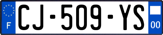 CJ-509-YS