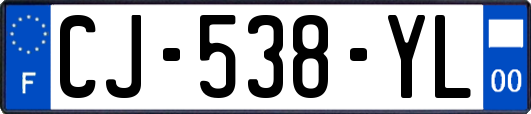 CJ-538-YL