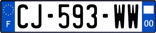 CJ-593-WW