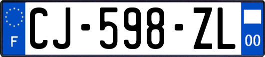 CJ-598-ZL