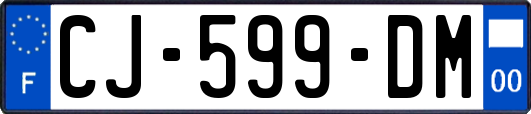 CJ-599-DM