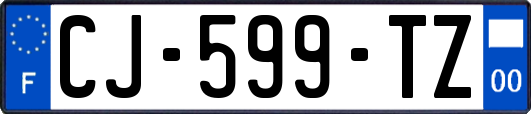 CJ-599-TZ