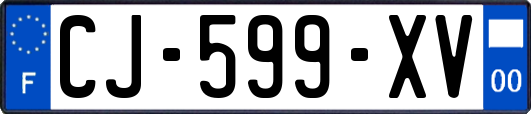 CJ-599-XV