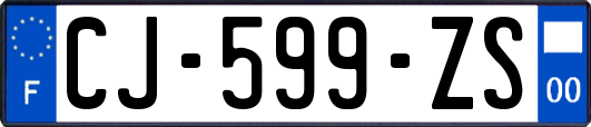 CJ-599-ZS