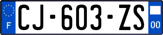 CJ-603-ZS