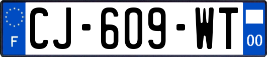 CJ-609-WT