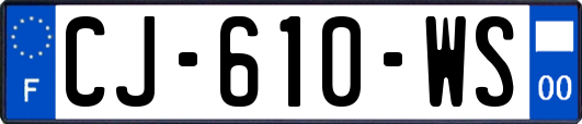 CJ-610-WS